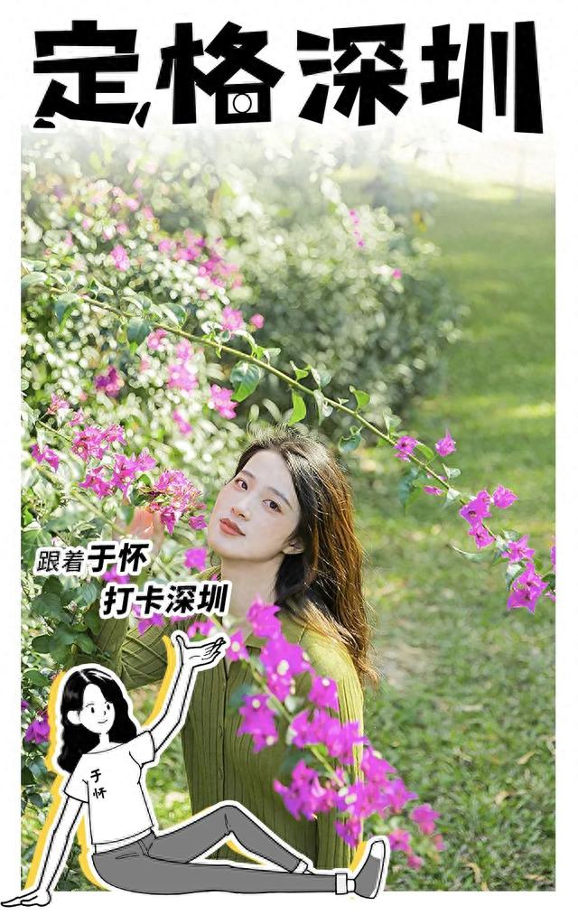 福田10个必去的地方
