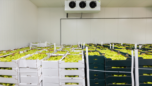 做个15平方的冷库造价，小型冷库建造方法（2023年想建一个100吨冷库）