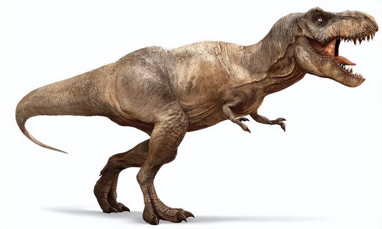 请问恐龙是什么东西我想看全世界的恐龙，盘点史上体型最大的恐龙