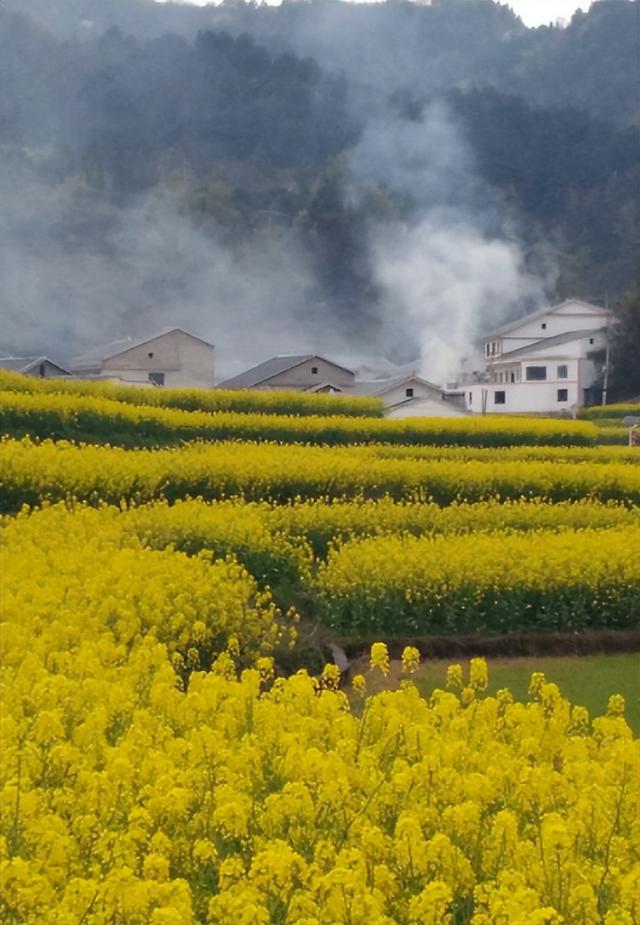 何人不问故园情，最美十首故园的诗词