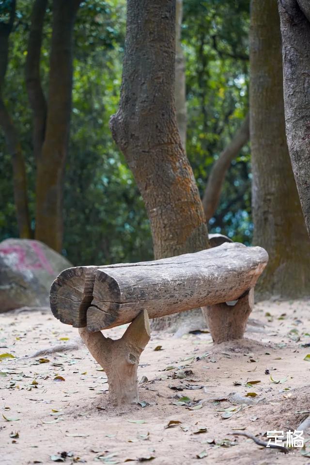 深圳一日游免费必去的地方，深圳最适合一日游的15个免费景点（深圳10个小众打卡地）