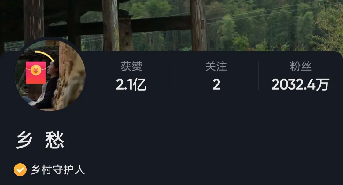 快手10万粉丝月收入(快手10万粉丝能挣钱吗)