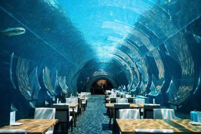 三亚机场免税店，三亚免税店必买清单及价格（看完至少省下20%-30%）