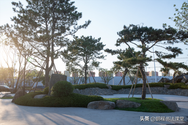 梦见植物是什么征兆，干货丨植物寓意篇