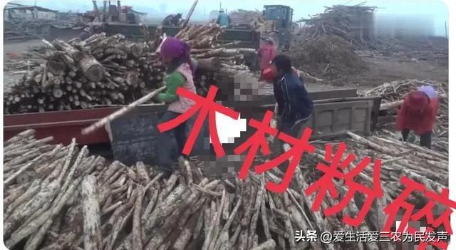 农村不起眼的商机，藏在农村不起眼的暴利商机有哪些（四个少有人做的农村项目）