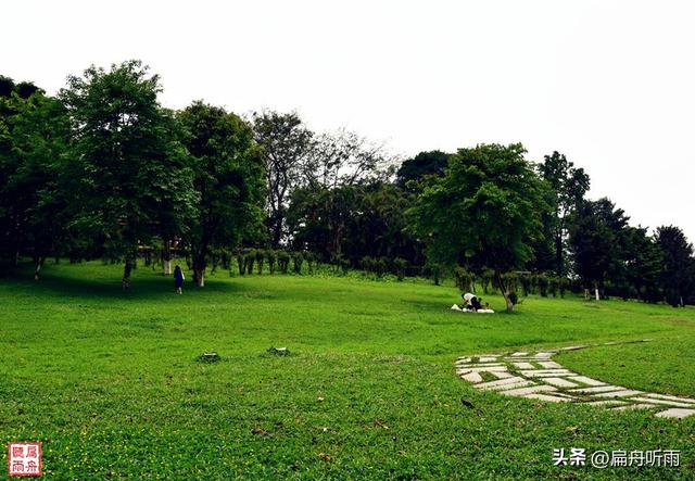 番禺大夫山森林公园，探寻天然氧吧广州大夫山森林公园（大夫山森林公园真的太大了）