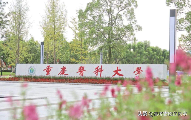 学医学报考什么大学较好，学医考哪个大学好（十所地区一流医科大学值得报）