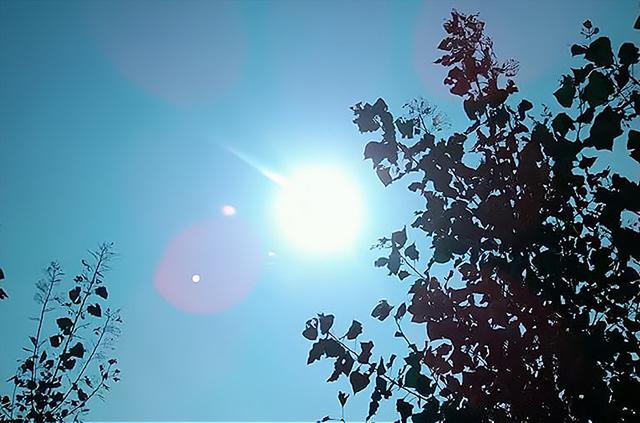 8月7日几点立秋，2020年立秋具体时间几点到几点（2022年阴历七月初十立秋）