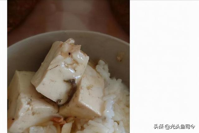 虾皮能吃吗，大虾皮可以直接吃吗（虾皮中吃出二级保护动物）