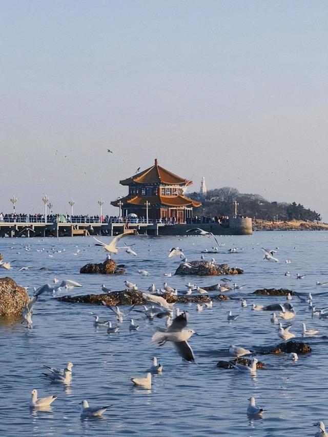 五一假期青岛之旅，看看青岛的这些地方，景点全都是人！真火爆