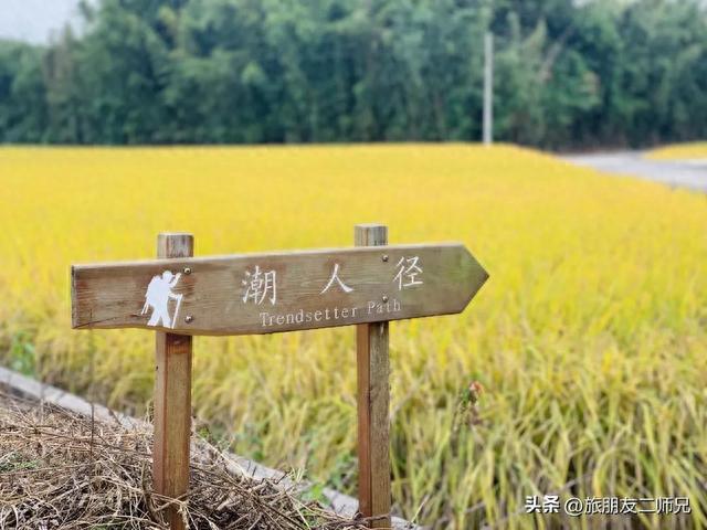 广州出发-台山1天游,徒步潮人径,摄金秋禾海稻浪,打卡浮月洋楼