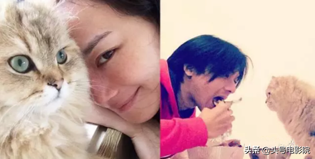 天天有喜3之天地欢喜，天天有喜3之天地欢喜什么时候播出（曾暂时息影想调身体生小孩）