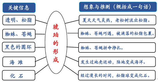 百灵鸟比喻什么人，百灵鸟比喻（<下册>课后习题答案）