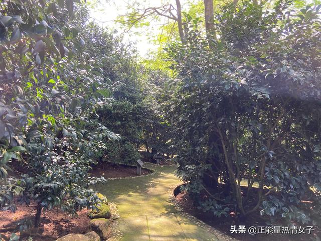 韶关丹霞山旅游攻略，韶关丹霞山旅游攻略 丹霞山好玩吗（黄飞鸿的故乡西樵山一日游游玩攻略）