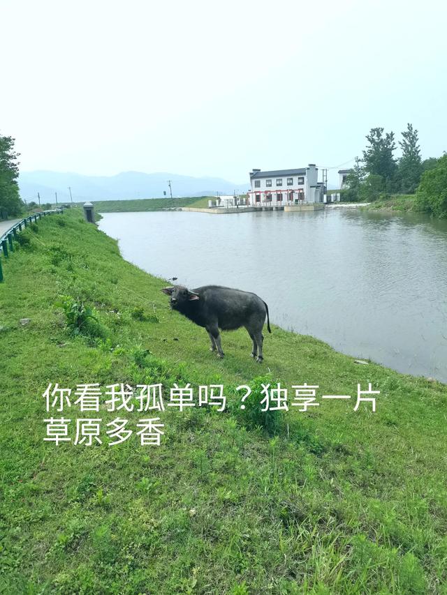 独生子女的好处和坏处，独生女的好处和坏处（独生子女到底好不好）