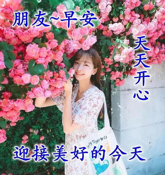 工作励志正能量文案，正能量满满的励志句子有哪些（早安心语，正能量努力工作文案）