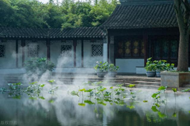 上海八大赏荷花好去处