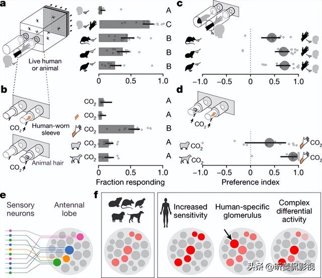 男生为啥不先表白就吻你，男生抱你亲你但没跟你表白过（看见就会发疯似地用嘴亲上你）