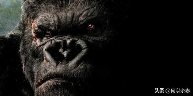 复兴什么意思及解释，复兴拼音怎么读（其实越来越难分辨了）