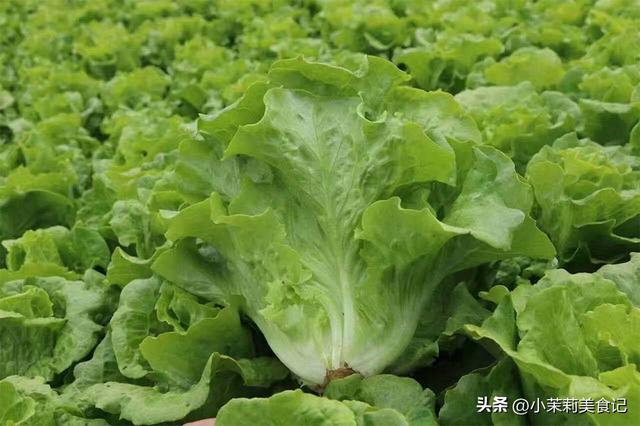 二月十九是什么日子，二月十九什么日子（老人说：做好3事）