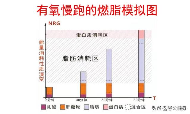 怎样跑步又快又不累又可以持久，怎样跑步不累又可以持久（慢跑时如何确定最佳配速）