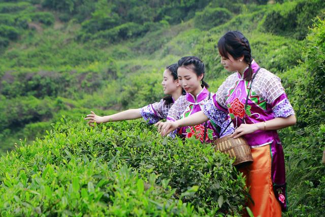 声情并茂下一句怎么说，形容声音美妙动听的成语（让我一生一世）