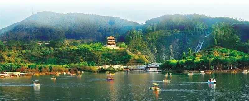 东莞自驾一日游更佳景点，打卡松山湖黄花风铃木+水濂山森林公园