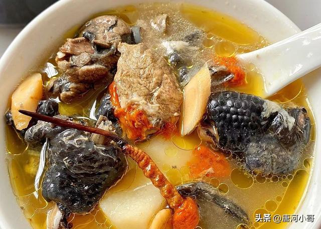 炖汤食谱大全及做法，学生炖汤食谱大全及做法（全家人百喝不腻的7款汤）