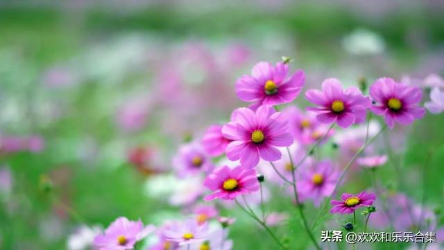 微信设置三天可见，微信可以单独设置三天可见吗（微信\