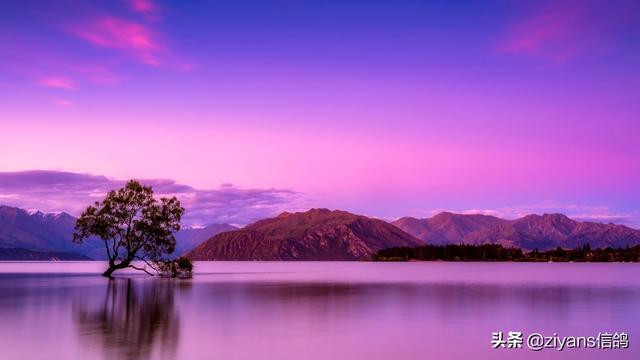 表示很无奈的句子，表示很无奈的朋友圈句子（10句把失望无奈描写得极致的句子）