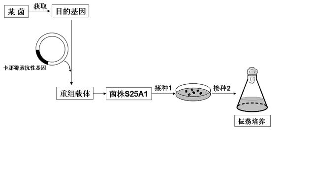 富集微生物的原理，高中生物-微生物的培养与应用