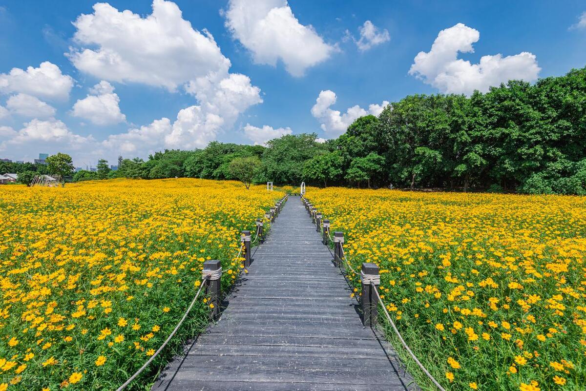广州海珠国家湿地公园
