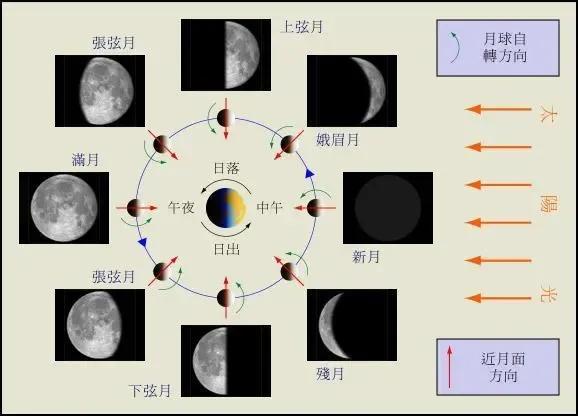 怎么分清楚阴历阳历，日历怎么分阳历和阴历（彻底让你搞懂“农历”“阴历”“阳历”“公历”等概念）