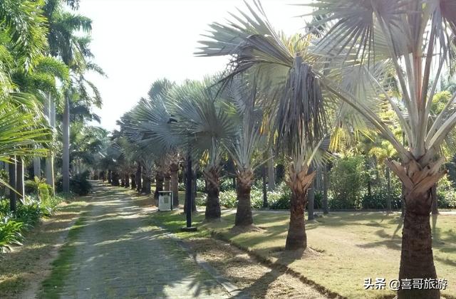 广东湛江旅游攻略，湛江旅游攻略最全攻略（广东省湛江市赤坎区十大景区有哪些）