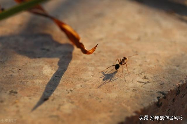 社会很单纯复杂的是人是什么歌，社会很单纯复杂的是人的歌名是什么（生活兵荒马乱）