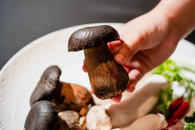 干巴菌怎么炒，干巴菌怎么炒不苦（这9道极致鲜味，错过再等1年）