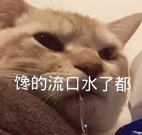 到日本必买的几款零食，2022吃货必买的日本新品零食