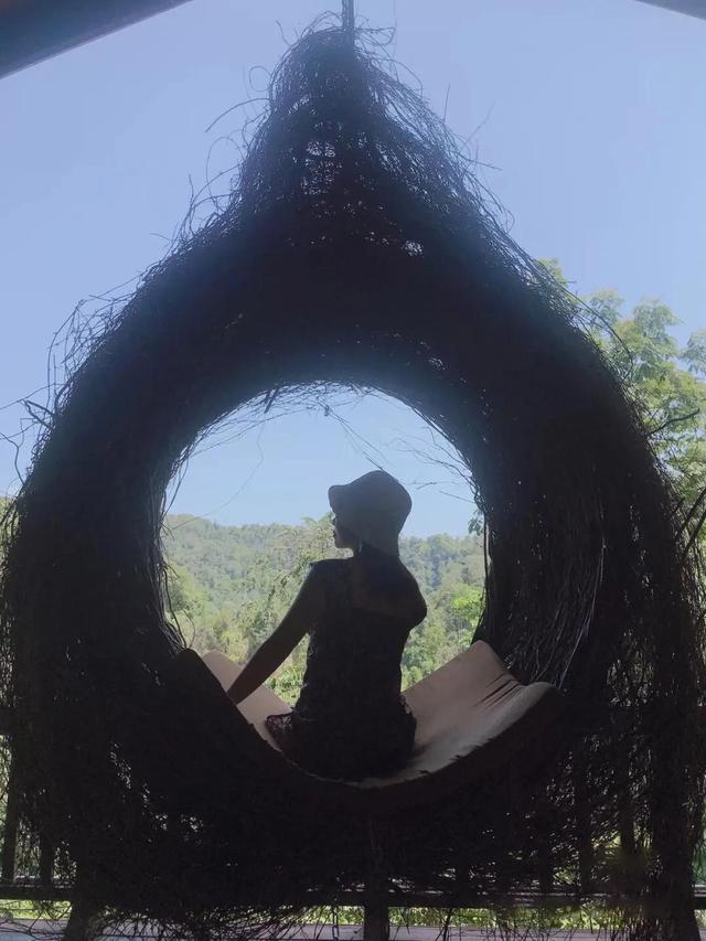 望天树，中国最高的树——望天树（望天树景区旅游攻略）