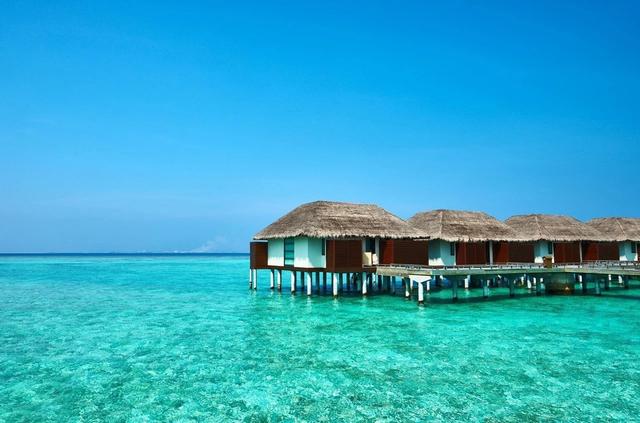 冬天穿什么最暖和，什么衣服最保暖（为何北极比我国升温快）