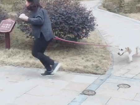 养大狗的女生不能要，为什么女人不能养狗尤其是大狗（为何不建议养“大狗”）