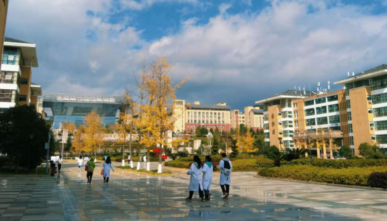 临床医学学校（分数不高想读临床医学）