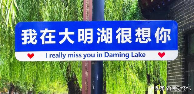 遇见大明湖，遇见你