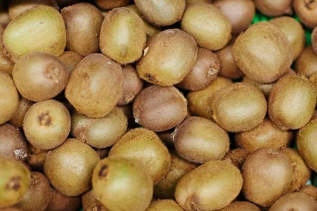 猕猴桃的原产地在哪里，猕猴桃的产地（猕猴桃亩产多少斤）