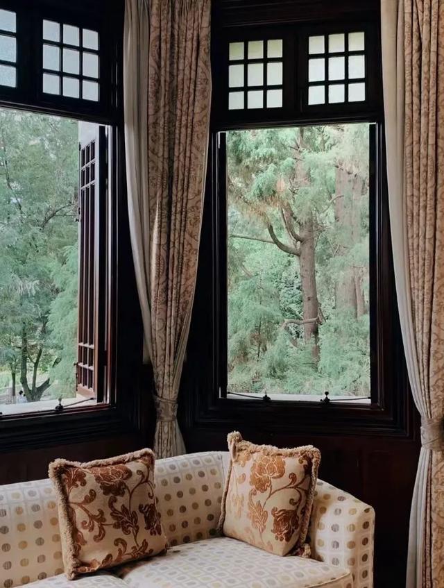 云南最好吃的野生菌在哪，中国最浪漫城市非她莫属