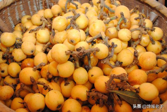 怎么挑选嘉宝果，怎么挑选嘉宝果选树叉多的好吗（惊蛰过后：无论有钱没钱）