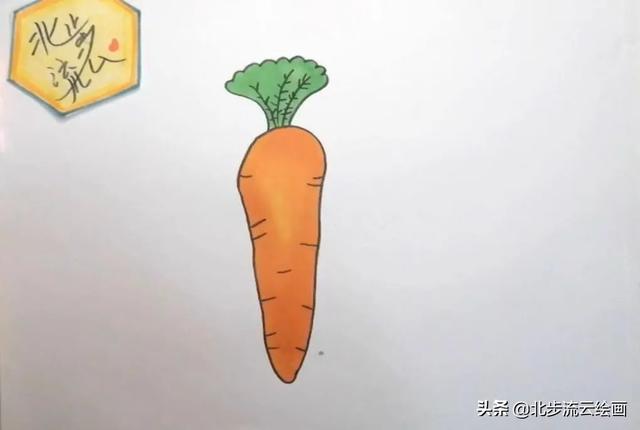 胡萝卜的简笔画，胡萝卜简笔画怎么画（胡萝卜简单的绘画步骤）