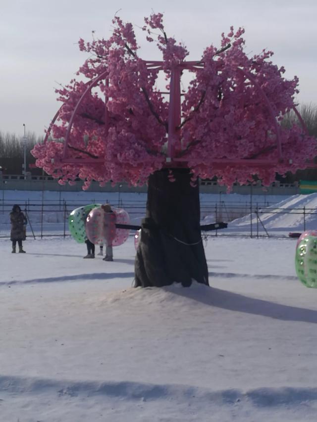 佳木斯冰雪大世界，佳木斯市冰雪大世界12月份（正月初三，逛佳木斯冰雪大世界）