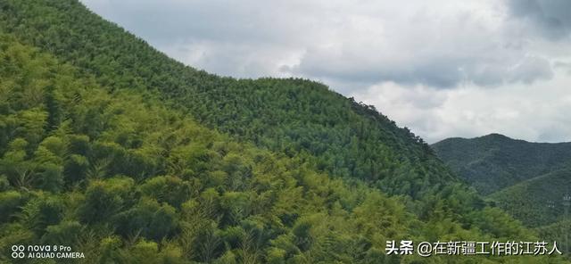 南山竹海在哪里，“南山竹海”是一个来了就可以抛开烦恼的地方