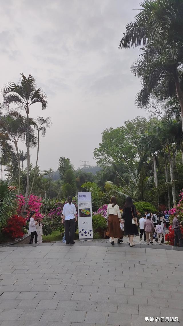 深圳市仙湖植物园，深圳仙湖植物园适合夏天逛吗（深圳仙湖植物园现场实拍图来了）