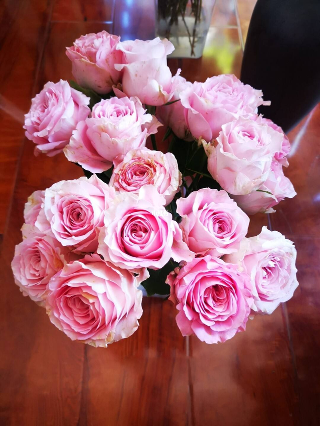 粉色玫瑰花代表什么意思，粉色玫瑰代表什么含义（粉色系玫瑰区分）